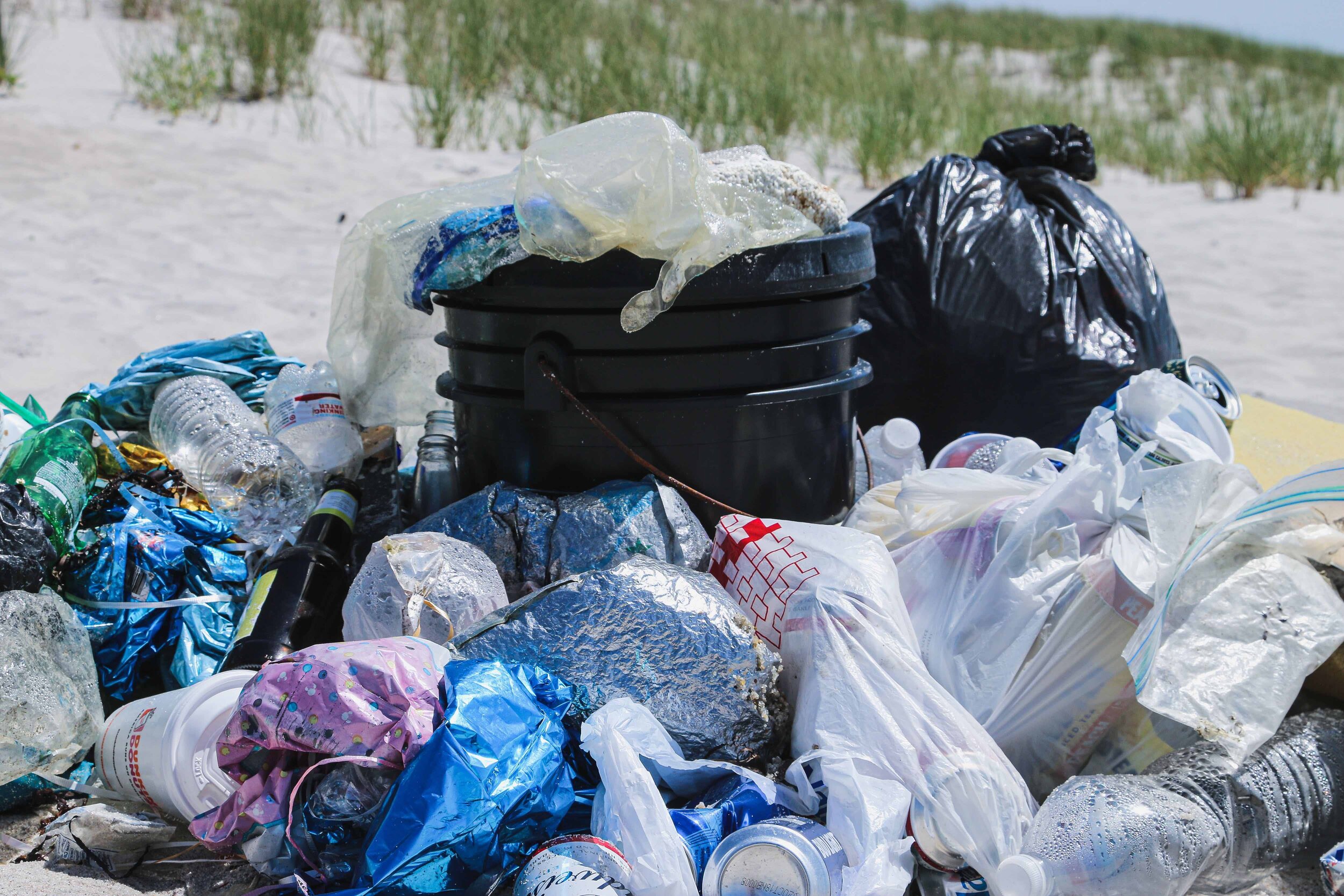 Roughly 200 million tons of plastic are polluting the world's oceans. Brian Yurasits/Unsplash