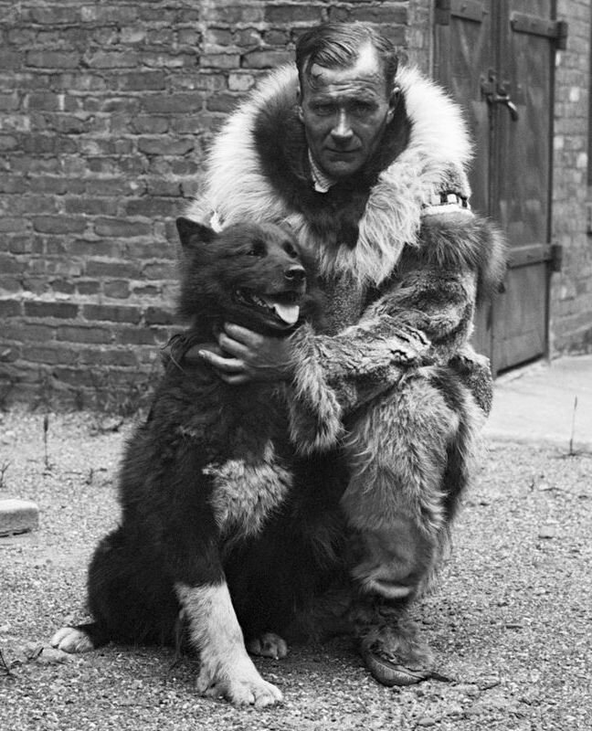 Balto with his musher in the 1925 Serum Run, Gunnar Kassen. Wikipedia
