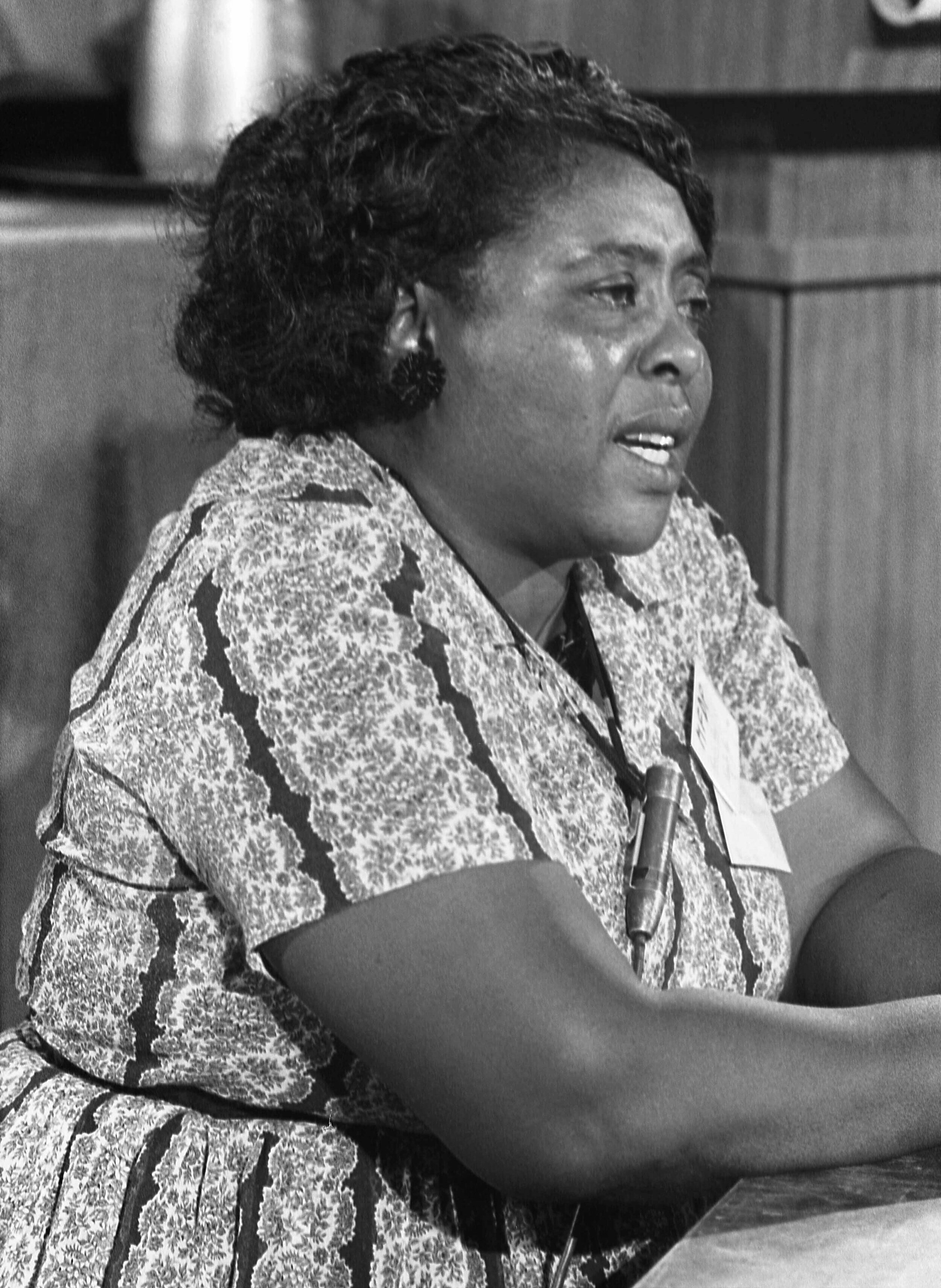 Fannie Lou Hamer speaks at the Democratic National Convention in Atlantic City, New Jersey, in August 1964. Wikipedia