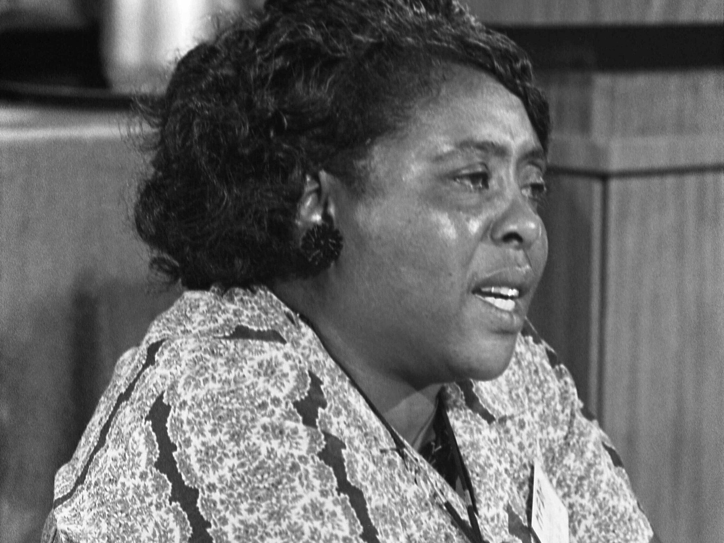 That Little Light of Hers Shines On and On:  How Fannie Lou Hamer Rocked Mississippi for Civil Rights